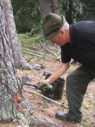 Mann hackt einen Stopfen aus einem Baumstamm