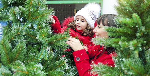 Frau mit Kind suchen Weihnachtsbaum aus